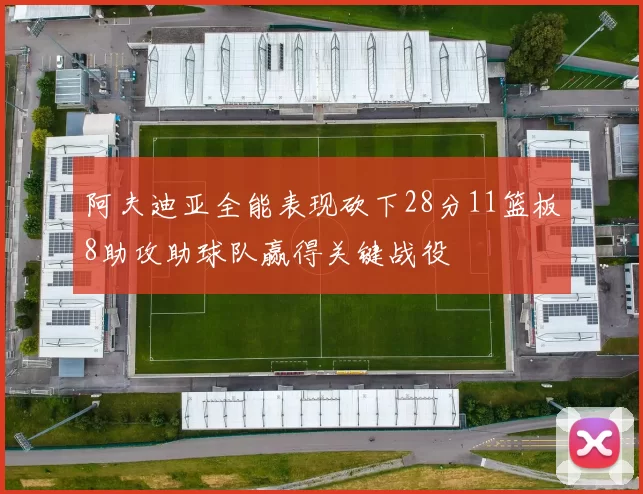 阿夫迪亚全能表现砍下28分11篮板8助攻助球队赢得关键战役